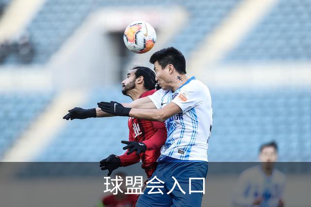 球盟会入口 公司简介